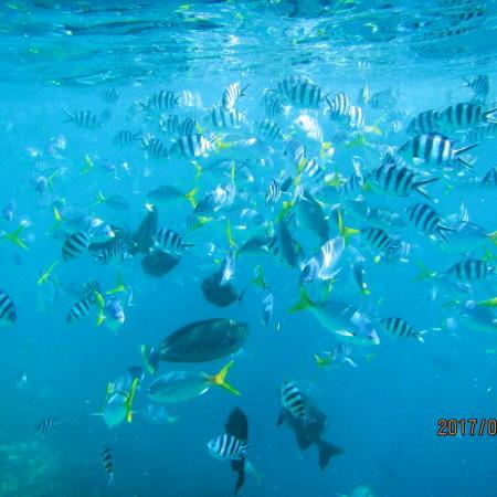 七彩🐠