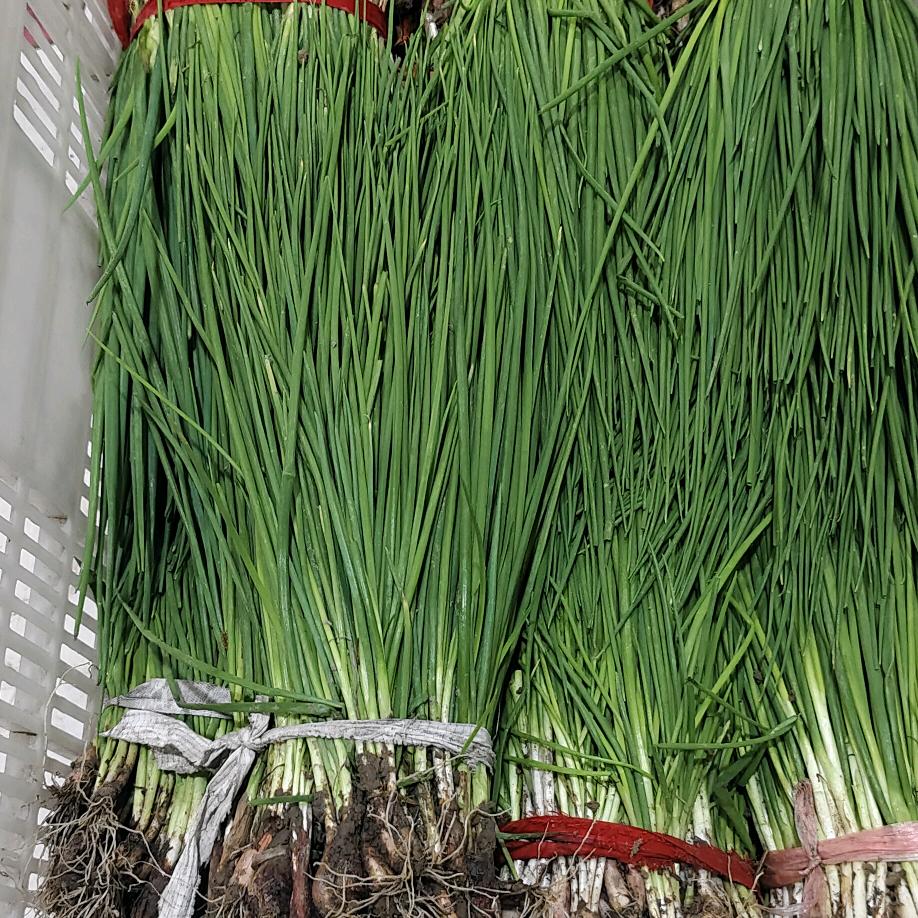 东台鲜极农场新鲜果蔬