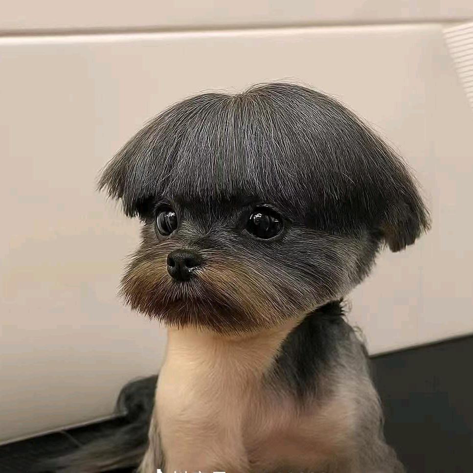 牛蛙