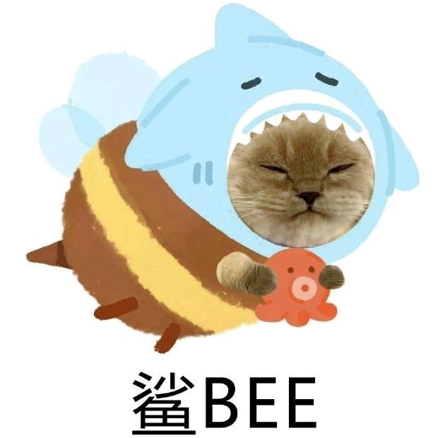 思.南