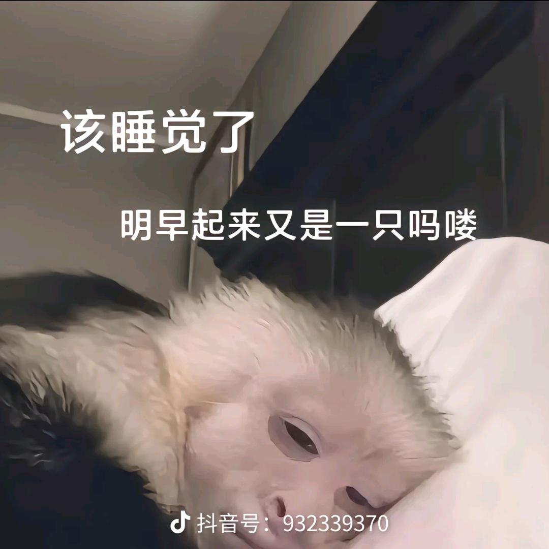 一个小吗喽（金铲铲之战）