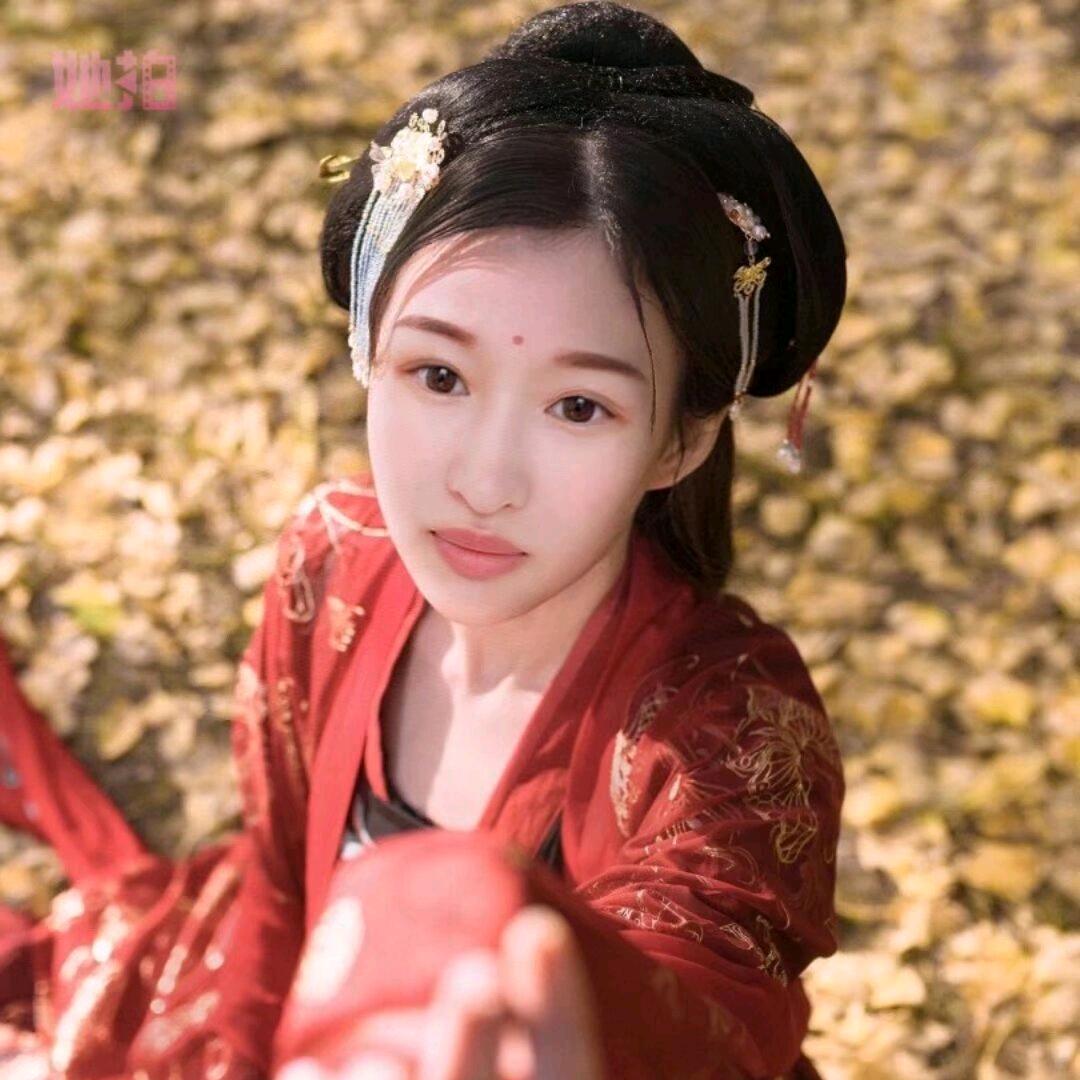 小灰灰