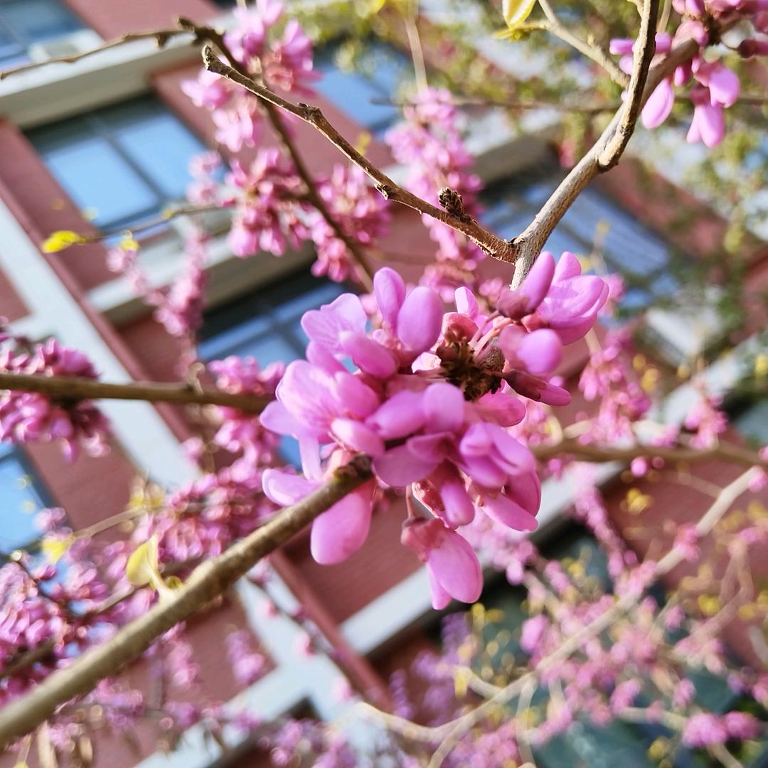 四季清宁