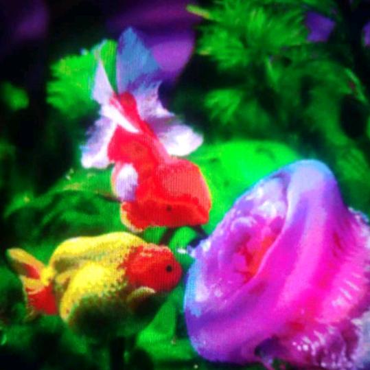 用户4356207154351前程似锦