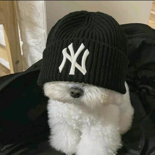牛杂煲