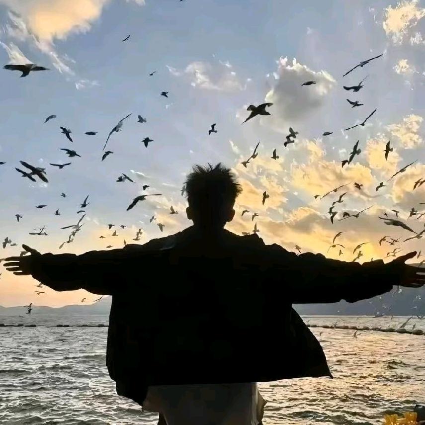 旅游小管家-美美