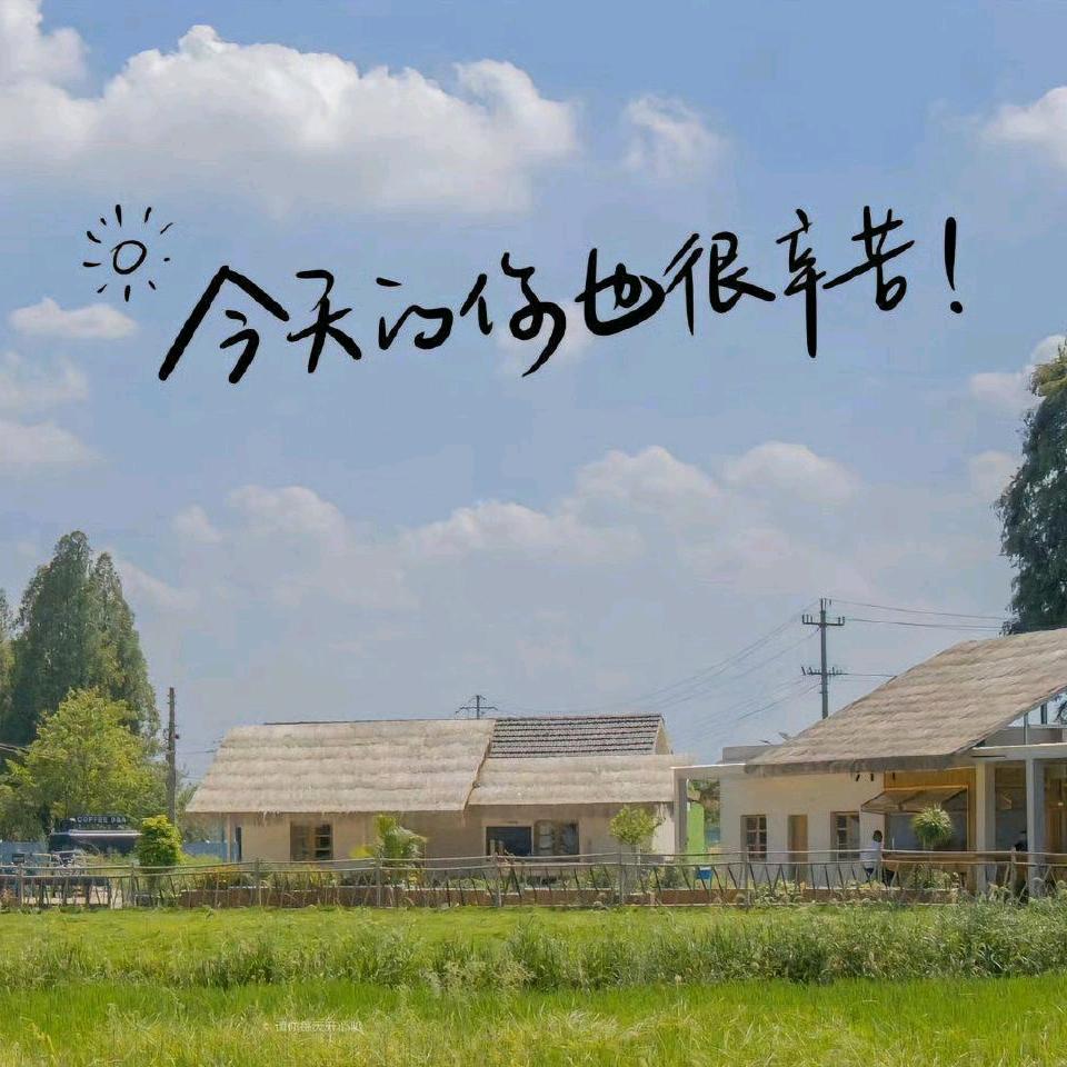 思来想去都想不到头像