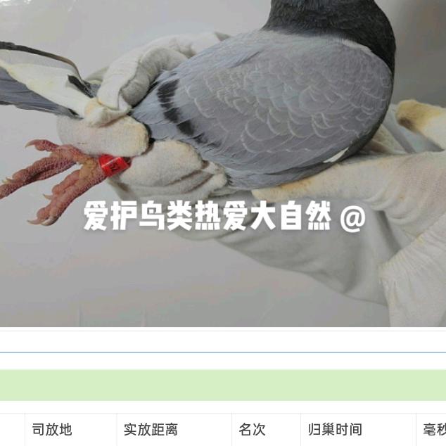 赵其光