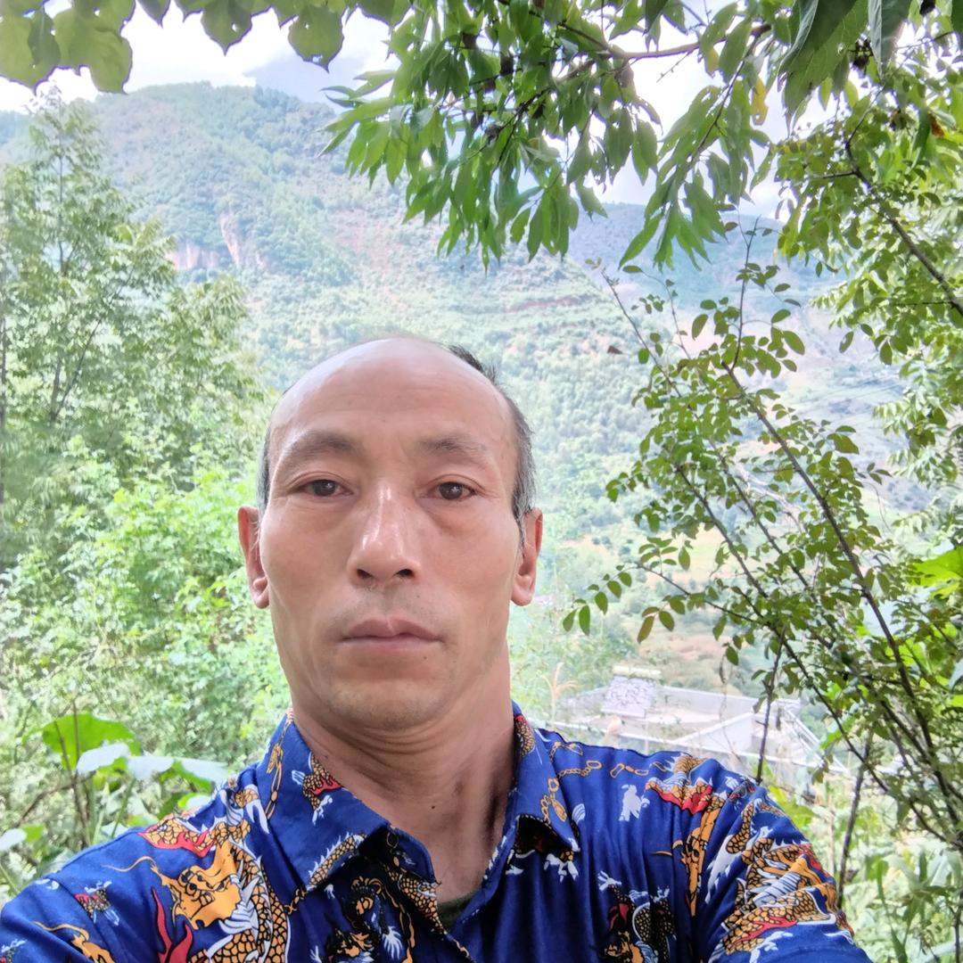 天上飞龙.