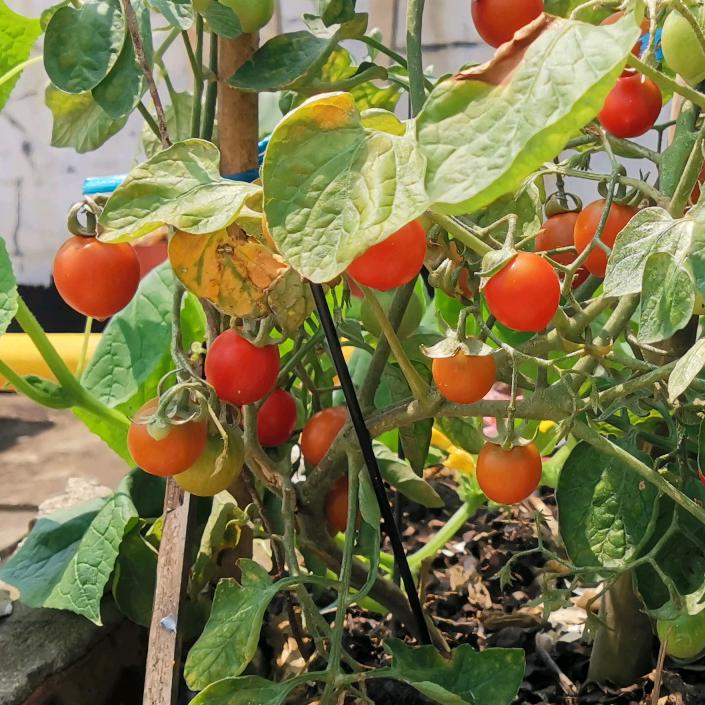 一个运气很好的人