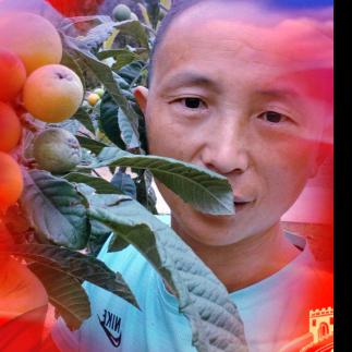 乡村摩滴哥