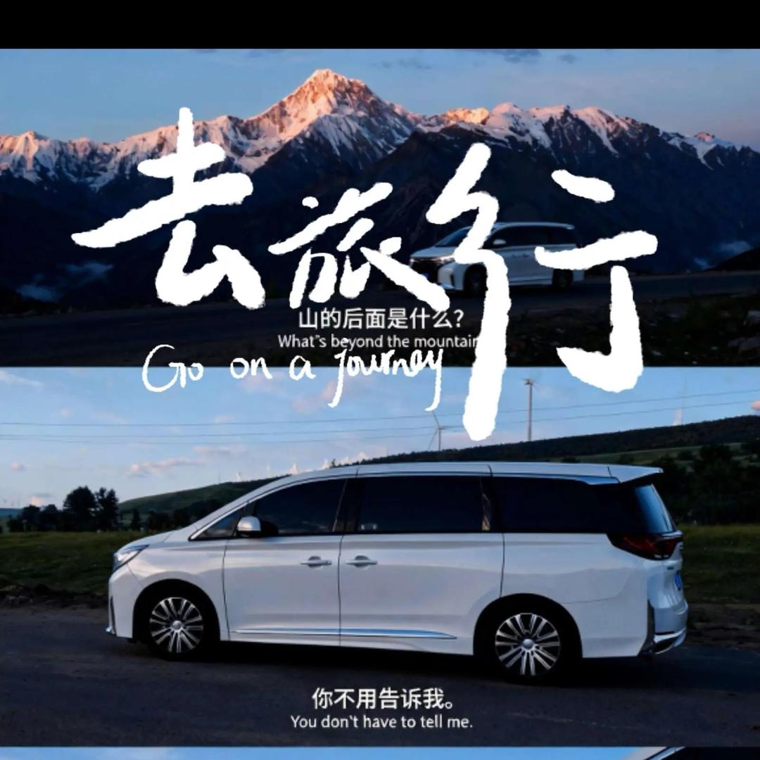 伟导-舌尖路线