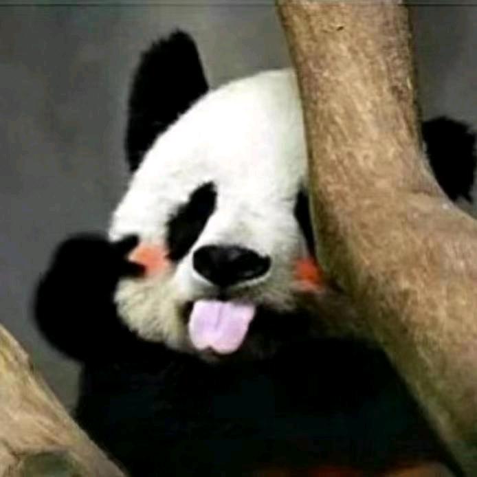 清晨阳光☀️