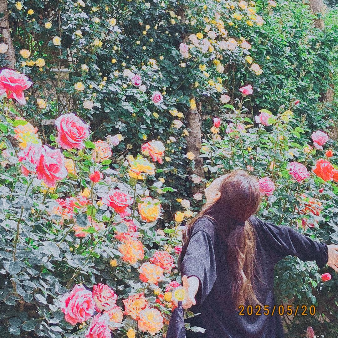 🏡旦尼🦋