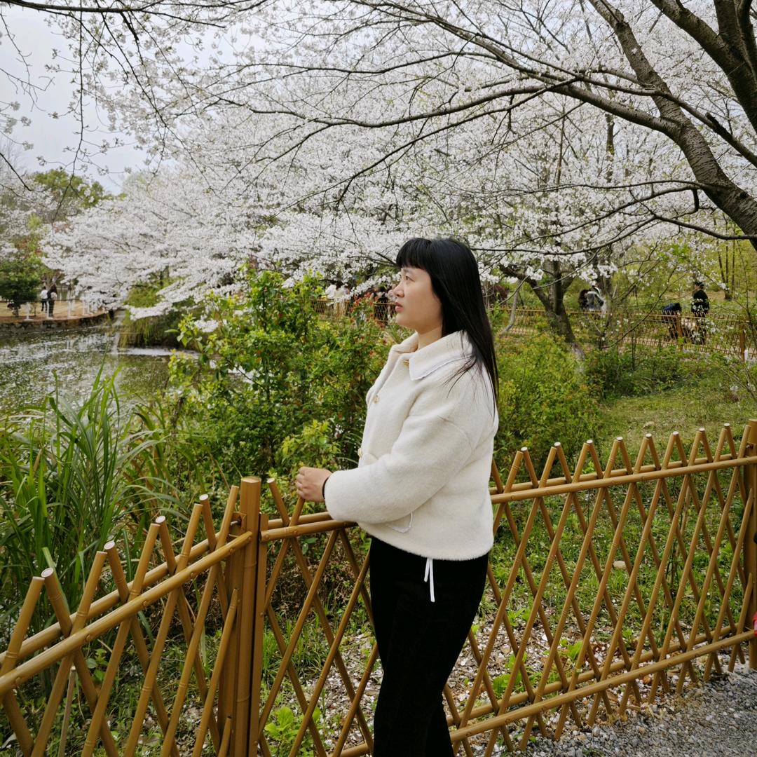 小陈没帆恼