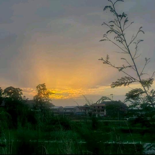 宁♥四♥王♥爷