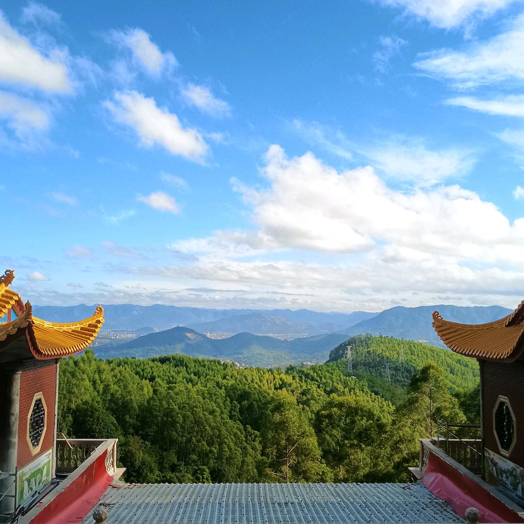 刘应成