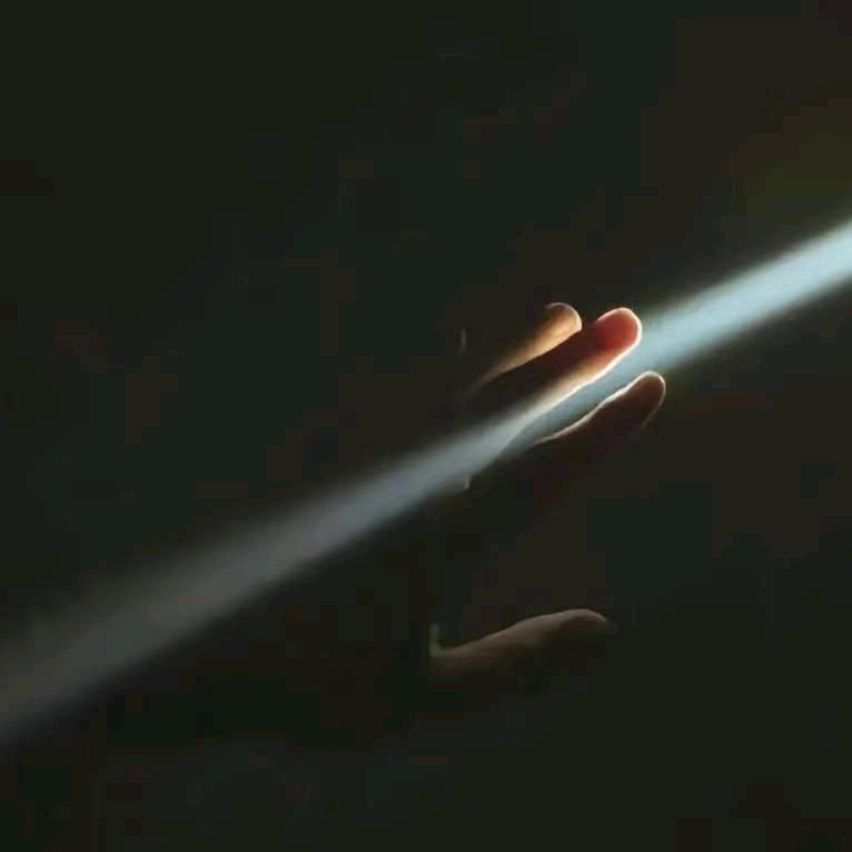 .Z_