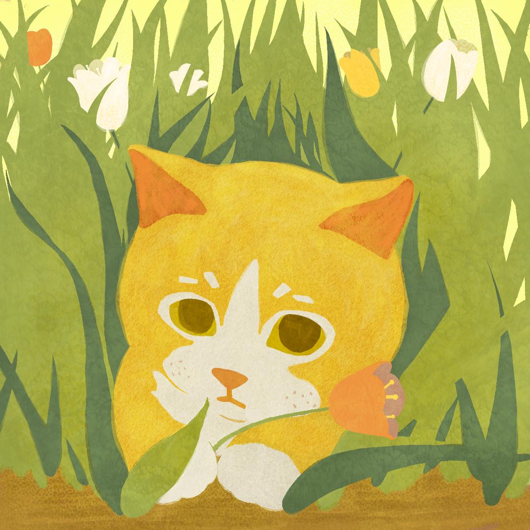 林知熹不爱玩游戏