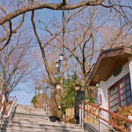 冰饼秉病