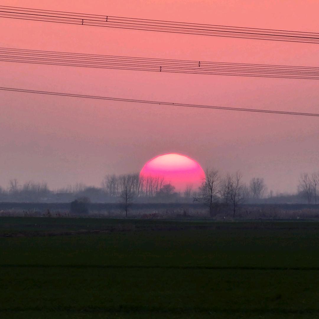 橘子皮