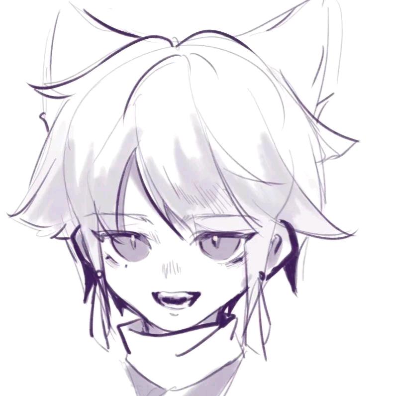 猫猫.