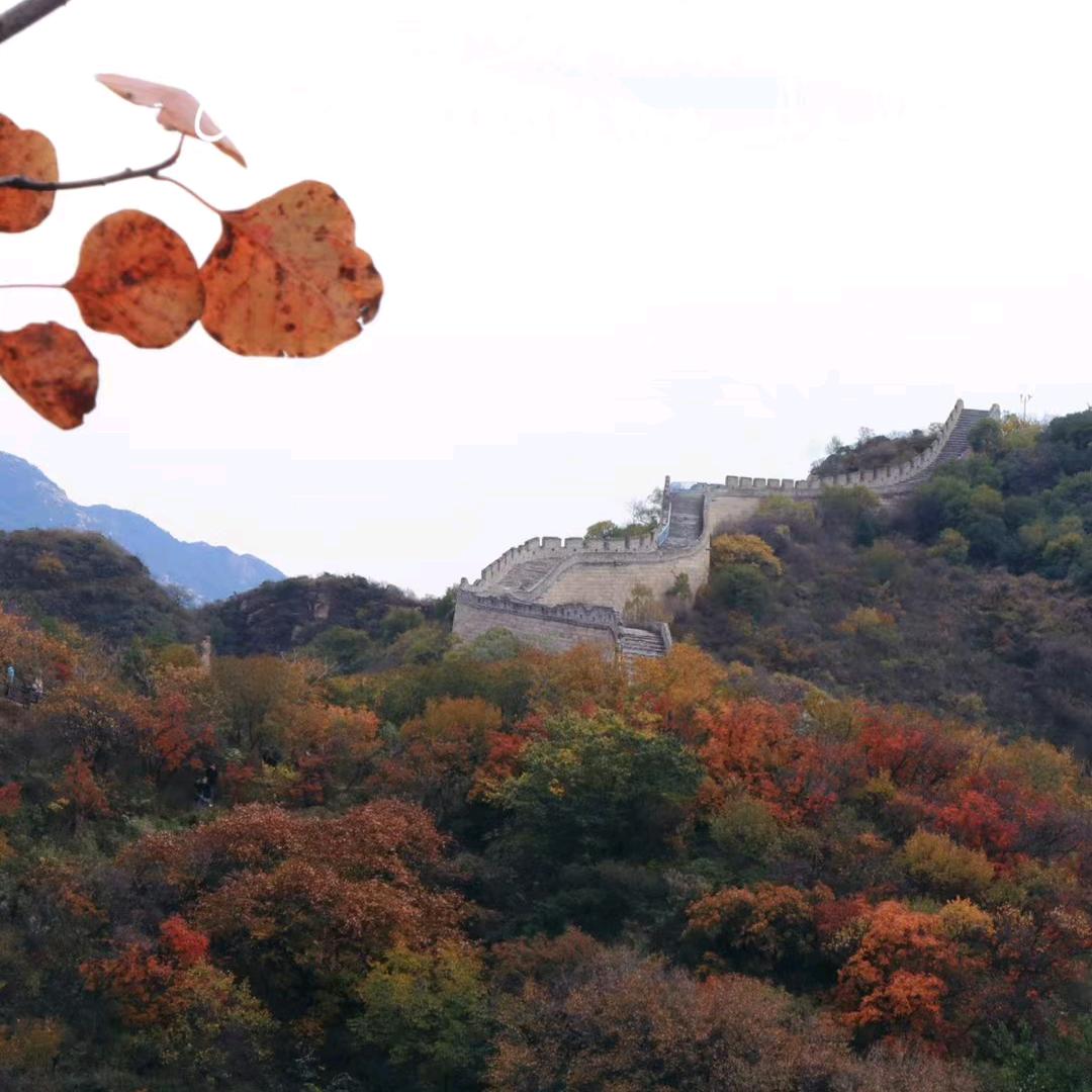 愿我们都平安健康幸福快乐每一天