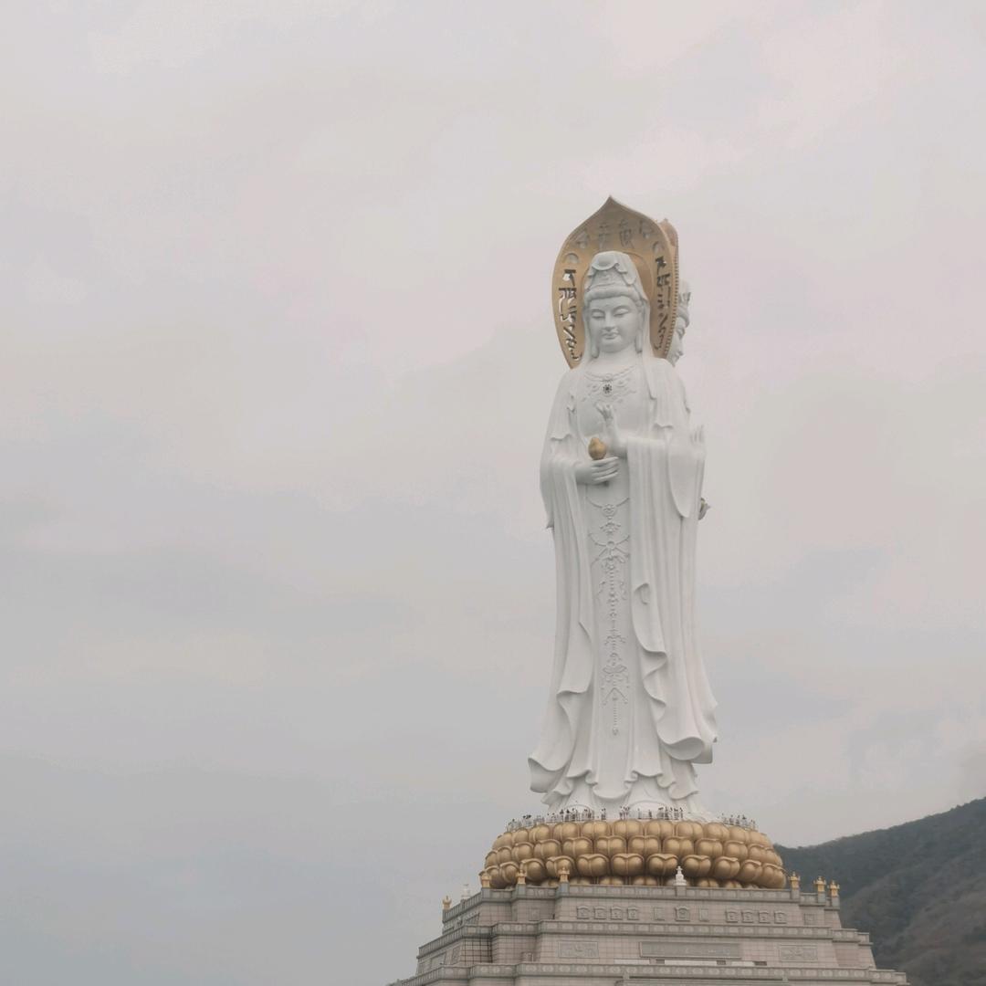 官方巡查组