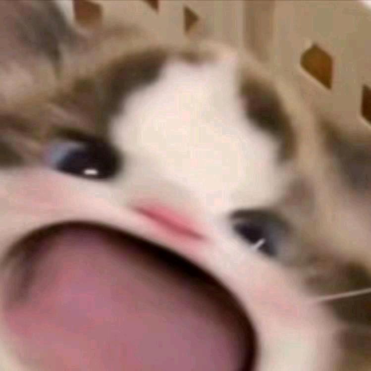 包 子