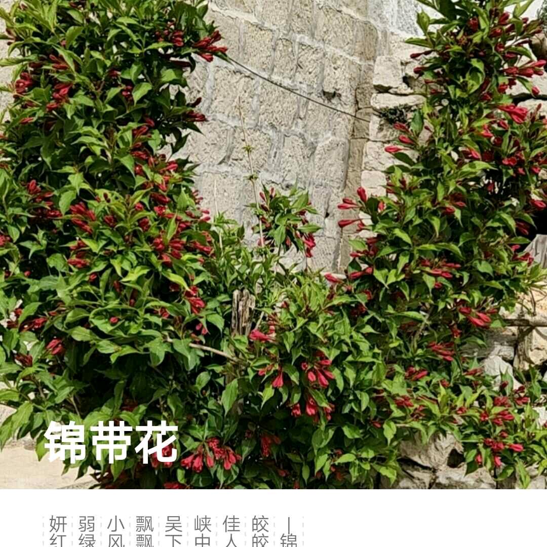 🍒এ᭄為穆ꦿ守ོ侯¹ᶟ₁₄࿐ᩚ