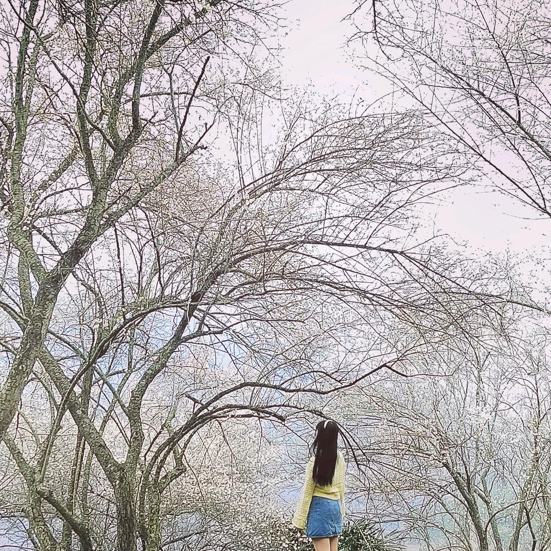 ℳ❥五ꦿ༉月ૢ᭄এ᭄