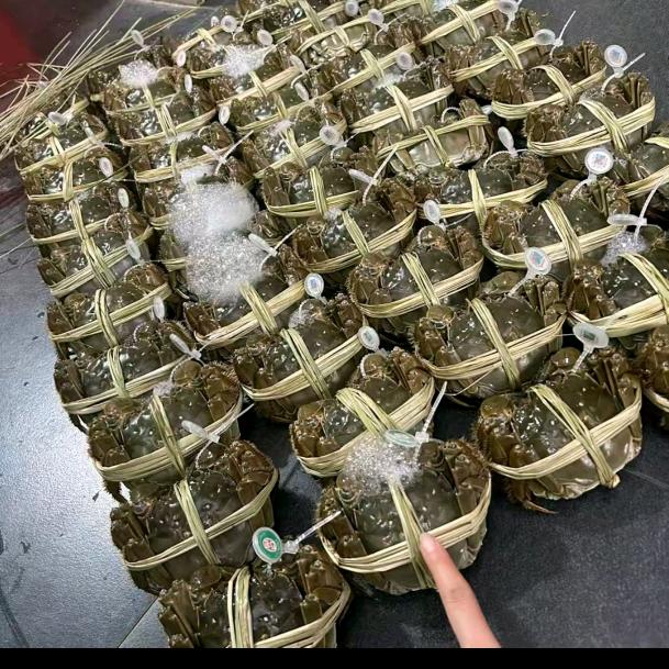 苏州蟹飘飘蟹业大闸蟹老板娘（雨诺）