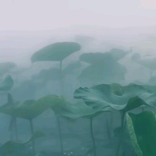 徐九年