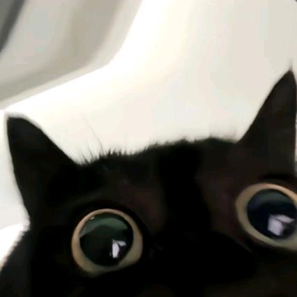 無✘