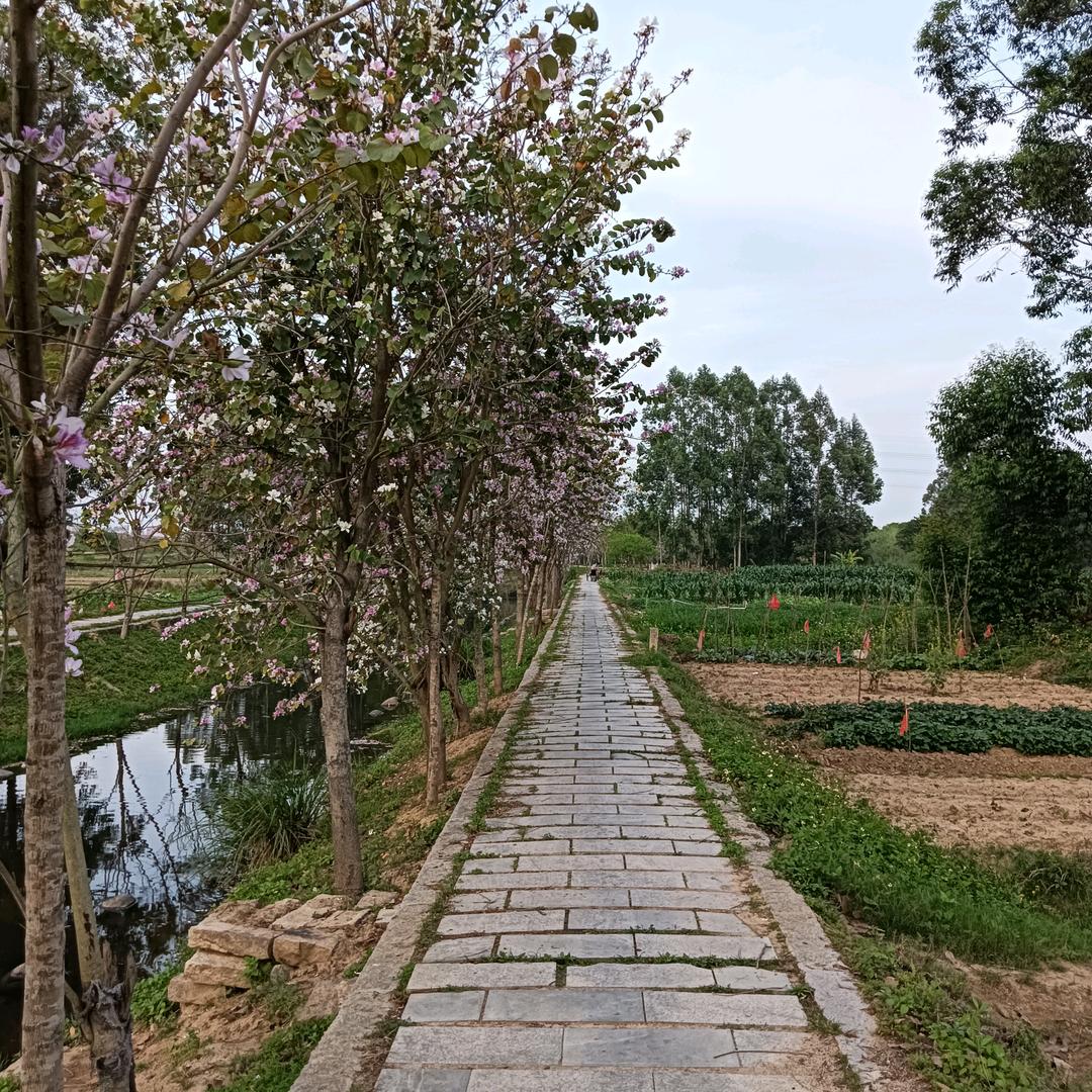 😂