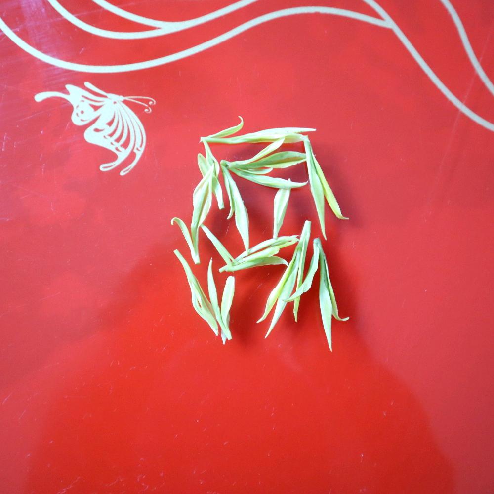 种茶人小哥
