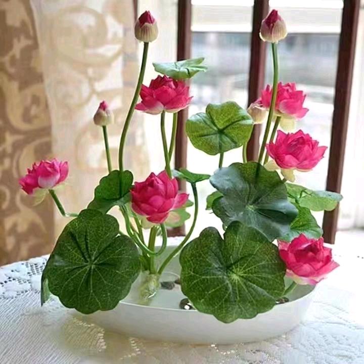 雨荷🌹🌹