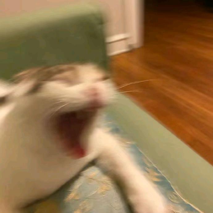 椅子椅子