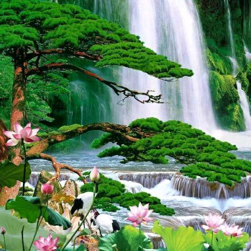 眼下有福