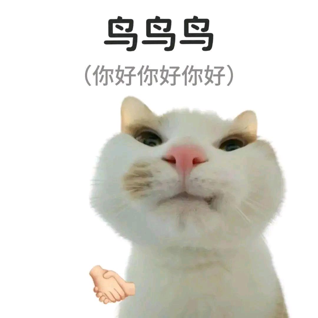 皮蛋瘦肉周女士