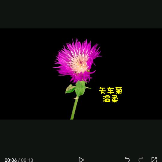 思雨SY