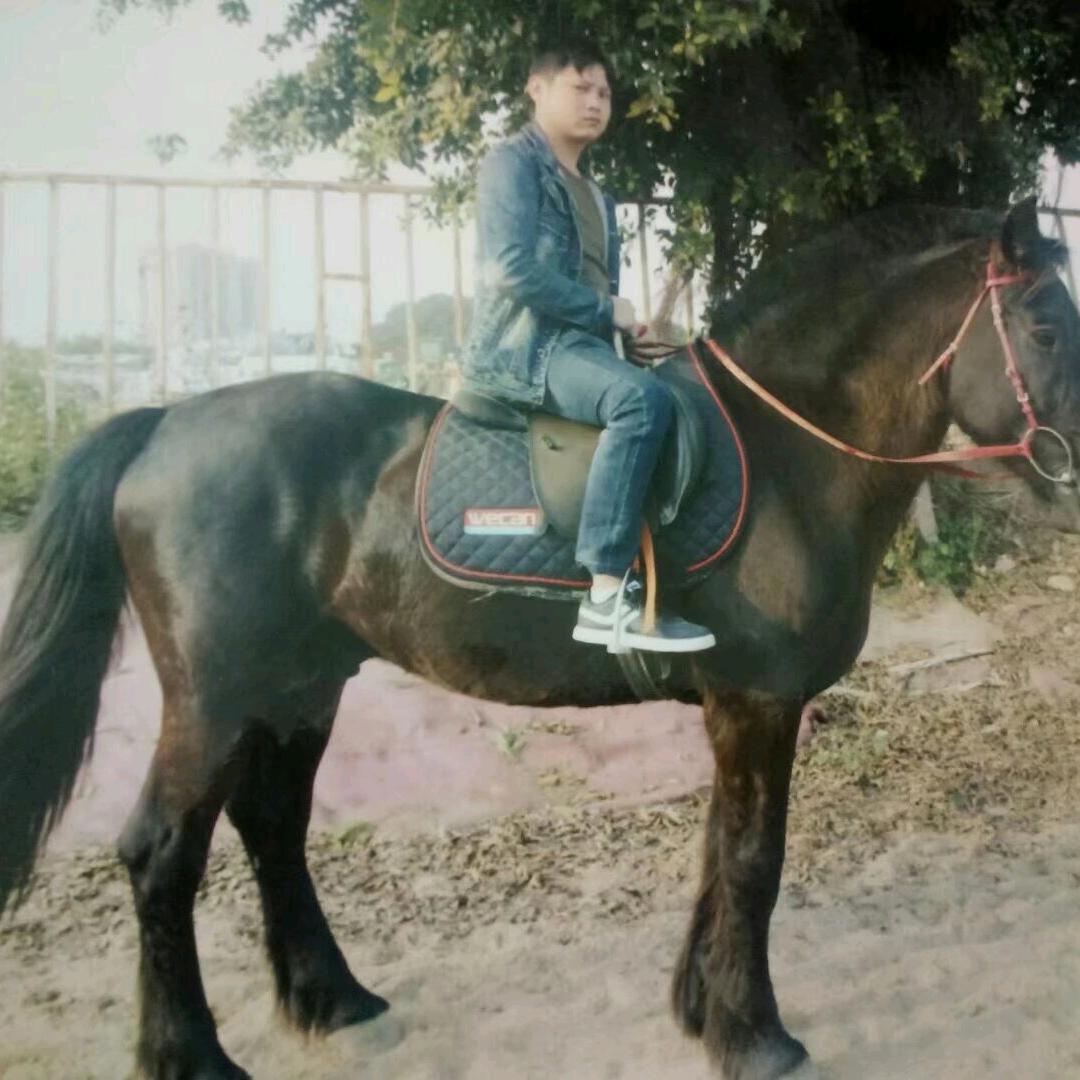 新丰仔