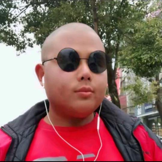 天天向上（🦈）