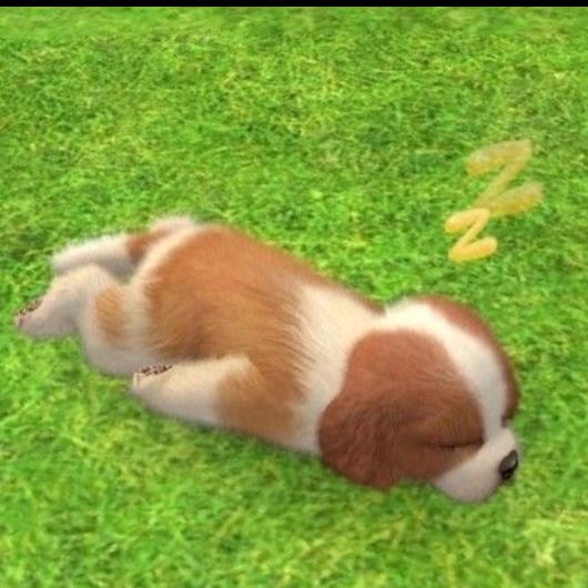 太阳晒屁屁啦