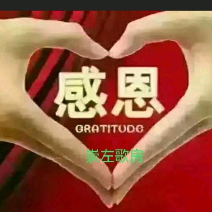 AA追梦