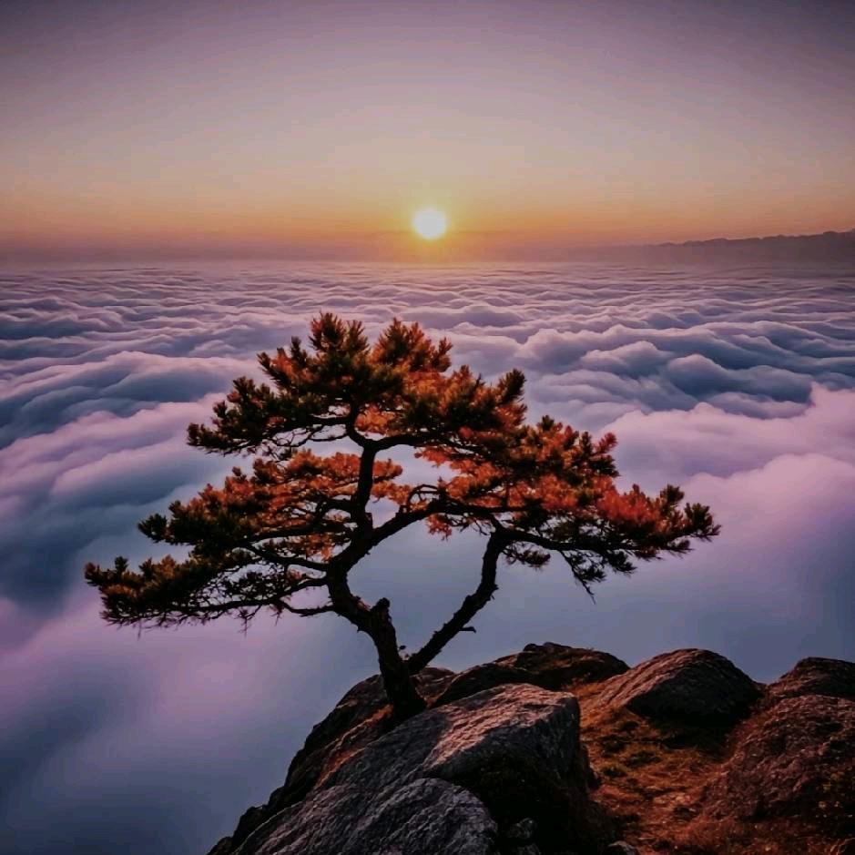 风马民谣 侨城坊