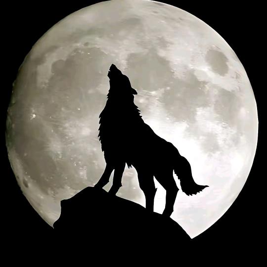 ༺ۣۖ浮ۣۖ༒ۣ尘