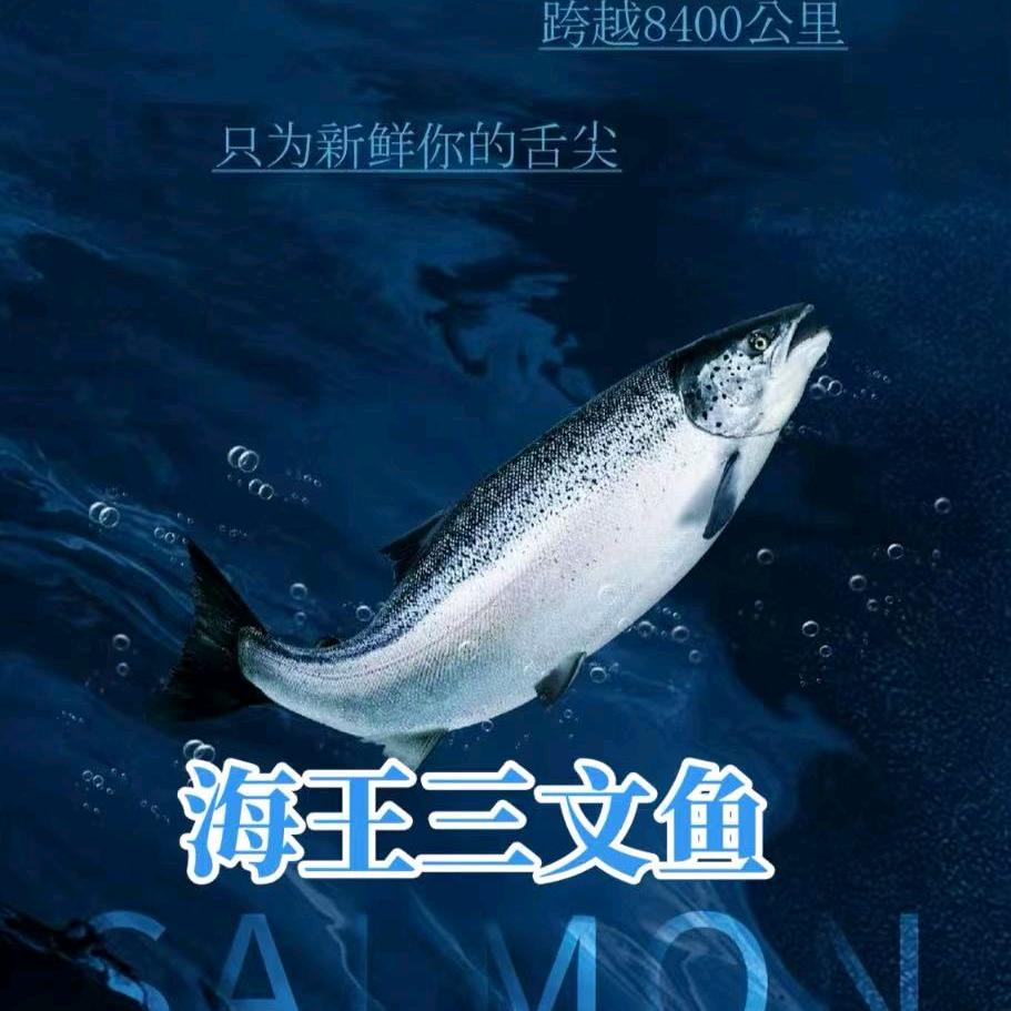 海王三文鱼（上海道店）