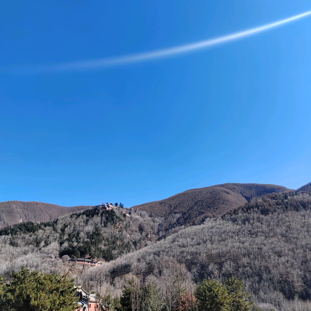 老莫,我想吃鱼了