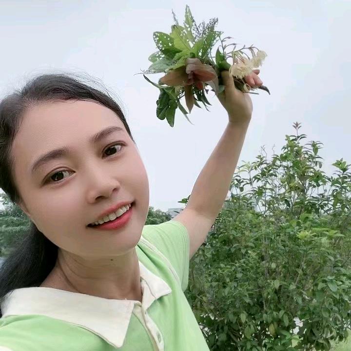 大洋葱妹6月21日早9:10首播